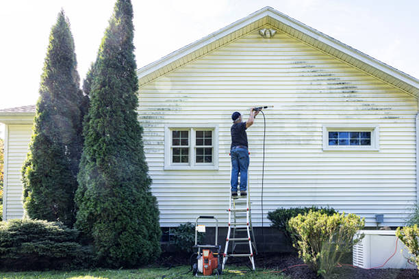 Best Gutter Cleaning  in Montgomery, OH